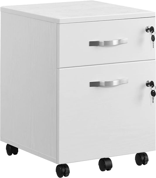 Lockable Filing Cabinet with 2 Drawers