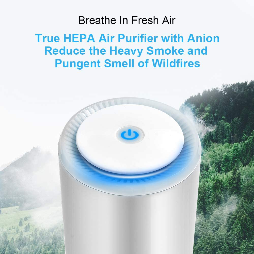 Air Purifier for Home Hay fever with Genuine HEPA Filter, Air Filter Air Purifier with 2 Modes & Night Light, Portable Air Purifier for Dust, Smokers, Pollen, Skin Dandruff, Hay Fever