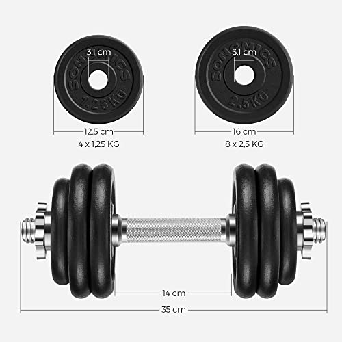 Set of 2 Cast Iron Dumbbells, 2 x 15 kg Weight Plates, Adjustable for Men Women Workout, Steel Grip, Fitness Training, Weight Lifting, Home Gym, Black