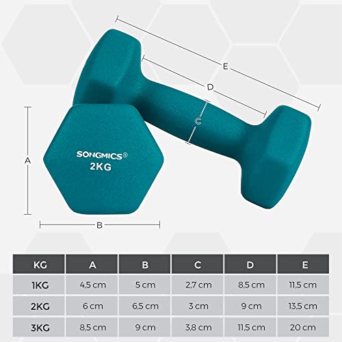 Hex Dumbbells Set with Stand - 2 x 1 kg, 2 x 2 kg, 2 x 3 kg, Neoprene Matte Finish, Hand Weights for Home Exercise, Lime, Teal, and Dark Grey