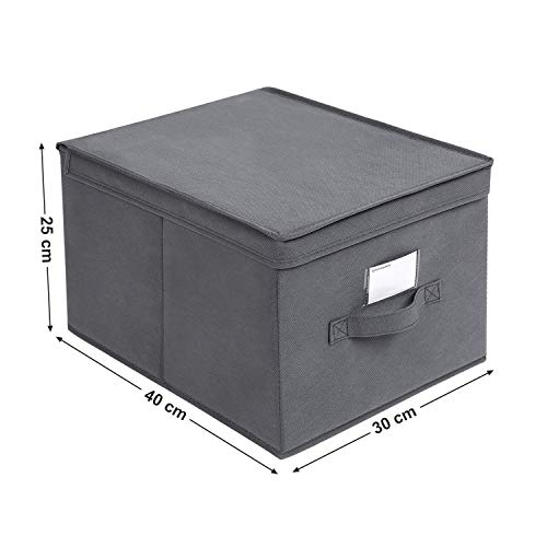 Set of 3 Foldable Storage Boxes with Lids, Fabric Cubes with Label Holders, Storage Bins Organiser, 40 x 30 x 25 cm, Grey