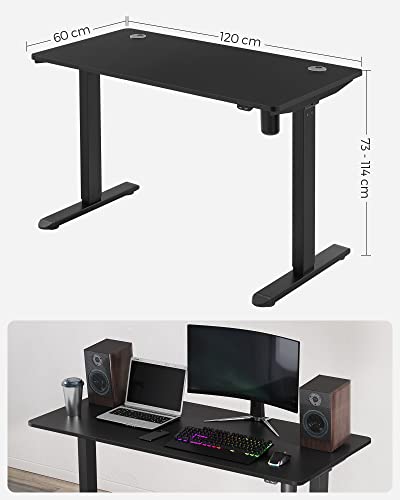 Electric Desk, Height-Adjustable, Desk Stand, Table Frame with Motor, 120 x 60 x (73-114) cm, Steel, Black