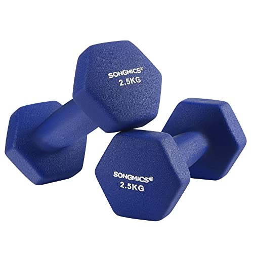 Set of 2 Dumbbells, 2 x 2.5 Non-Slip Neoprene Hand Weights with Matte Finish, Home Workout, Fitness Training Exercise, Blue