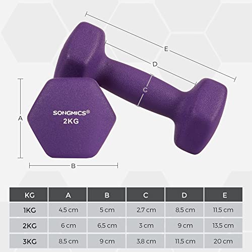 Hex Dumbbells Set with Stand, 2 x 1 kg, 2 x 1.5 kg, 2 x 2 kg, Hand Weights with Neoprene Matte Finish, for Home Exercise, Yellow, Pink, and Purple