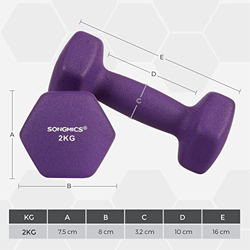 Dumbbells Set of 2 2 x 2kg Non-Slip Dumbbells with Matte Coating Neoprene Home Training Strength Training Purple