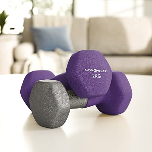 Dumbbells Set of 2 2 x 2kg Non-Slip Dumbbells with Matte Coating Neoprene Home Training Strength Training Purple