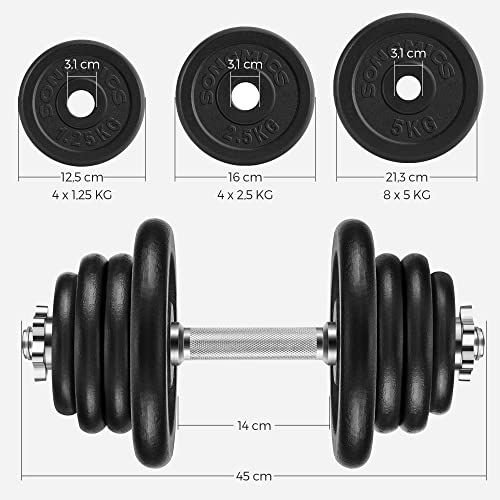 Set of 2 Cast Iron Dumbbells, 2 x 30 kg Weight Plates, Adjustable for Men Women Workout, Steel Grip, Fitness Training, Weight Lifting, Home Gym, Black