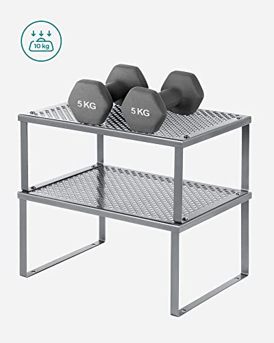 2 Tier Spice Rack, Silver