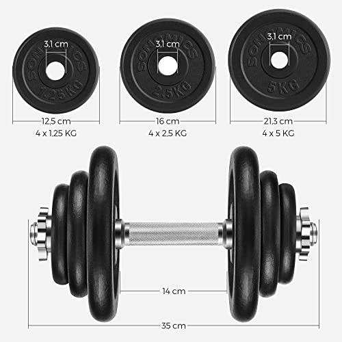 Set of 2 Cast Iron Dumbbells, 2 x 20 kg Weight Plates, Adjustable for Men Women Workout, Steel Grip, Fitness Training, Weight Lifting, Home Gym, Black