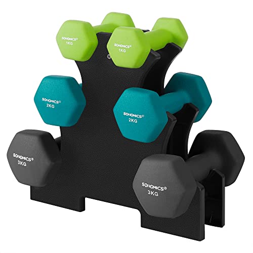 Hex Dumbbells Set with Stand - 2 x 1 kg, 2 x 2 kg, 2 x 3 kg, Neoprene Matte Finish, Hand Weights for Home Exercise, Lime, Teal, and Dark Grey