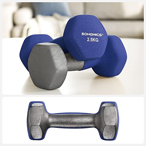 Set of 2 Dumbbells, 2 x 2.5 Non-Slip Neoprene Hand Weights with Matte Finish, Home Workout, Fitness Training Exercise, Blue