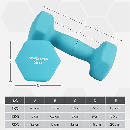 Hex Dumbbells Set with Stand - 2 x 1 kg, 2 x 2 kg, 2 x 3 kg, Neoprene Matte Finish, Hand Weights for Home Exercise, Pink, Aqua, and Blue