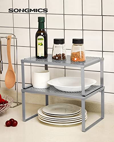 2 Tier Spice Rack, Silver