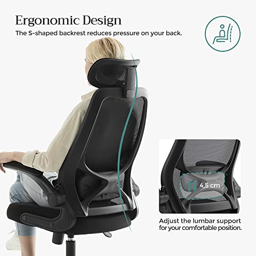 Office Chair, Computer Chair, Ergonomic Chair, Adjustable Armrests and Headrest, Rocker Function, Breathable Mesh, Height-Adjustable, Black