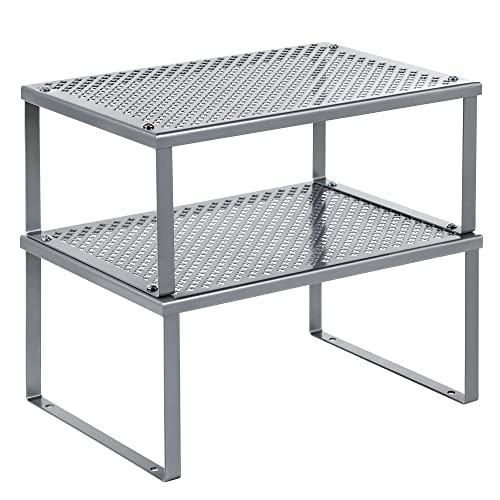 2 Tier Spice Rack, Silver