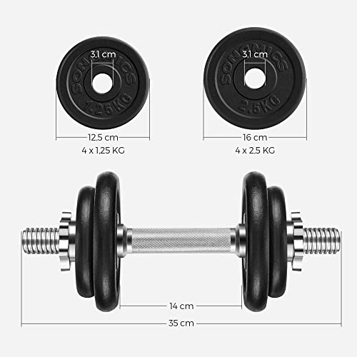 cast iron dumbbell dumbbell bars knurled with star collars dumbbells set of 2 20 kg