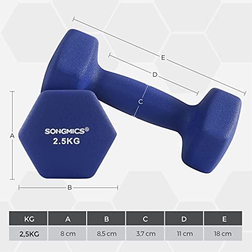 Set of 2 Dumbbells, 2 x 2.5 Non-Slip Neoprene Hand Weights with Matte Finish, Home Workout, Fitness Training Exercise, Blue