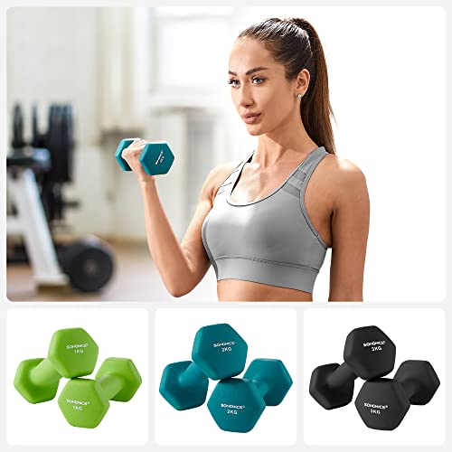 Hex Dumbbells Set with Stand - 2 x 1 kg, 2 x 2 kg, 2 x 3 kg, Neoprene Matte Finish, Hand Weights for Home Exercise, Lime, Teal, and Dark Grey