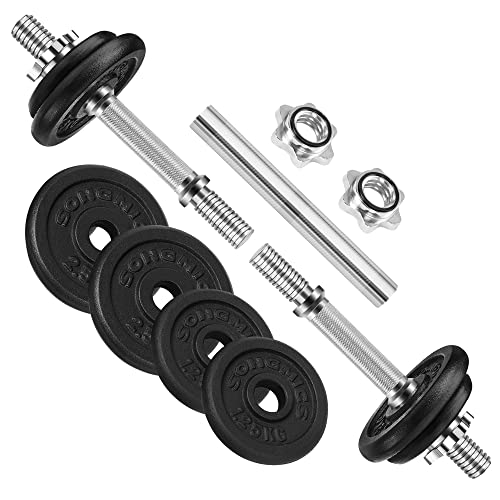 2-in-1 Dumbbells Set, 2 x 10 kg Cast Iron Adjustable Weights, with Extra Steel Barbell Bar, Fitness Training, Weight Lifting, at Home Gym, Black