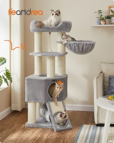 Cat Tree for Large Cats