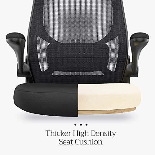 Office Chair, Computer Chair, Ergonomic Chair, Adjustable Armrests and Headrest, Rocker Function, Breathable Mesh, Height-Adjustable, Black