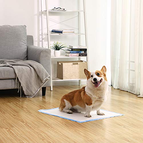 Puppy Training Pads, Puppy Toilet, 60 x 60 cm, 100 Pack