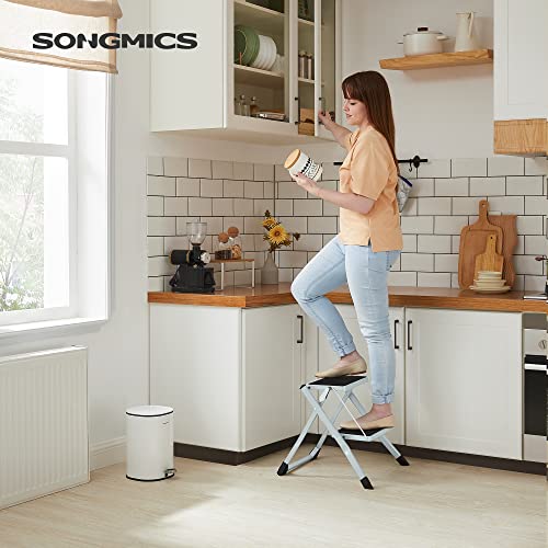 2 Step Ladder, Heavy Duty Steel, Folding, Portable with Anti-Slip Mat Max. Load Capacity up to 150 kg Tested and Certified by TÜV Rheinland