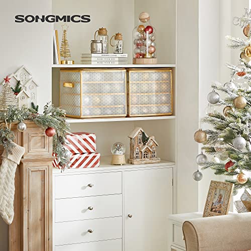 Plastic Christmas Ornament Storage Boxes, 2 Pack Christmas Ball Organisers, Keeps 128 Holiday Ornaments and Holiday Decor, Removable Dividers, Semi-Transparent and Golden