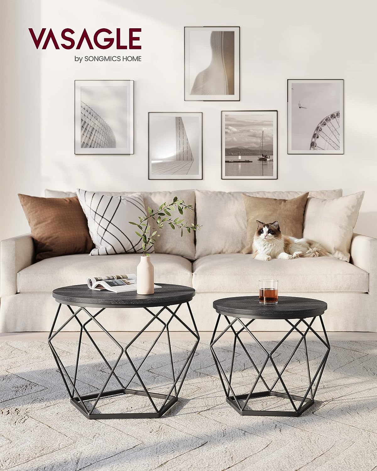 Round Coffee Tables, Set of 2 Side Tables, Modern Style, Removable Tabletop, Steel Frame, for Living Room, Black